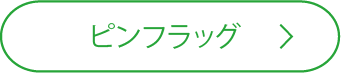 ピンフラッグ