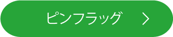 ピンフラッグ