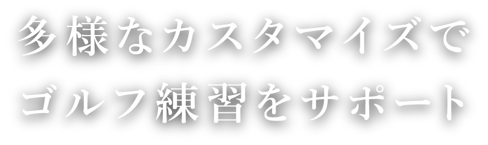 多様なカスタマイズでゴルフ練習をサポート